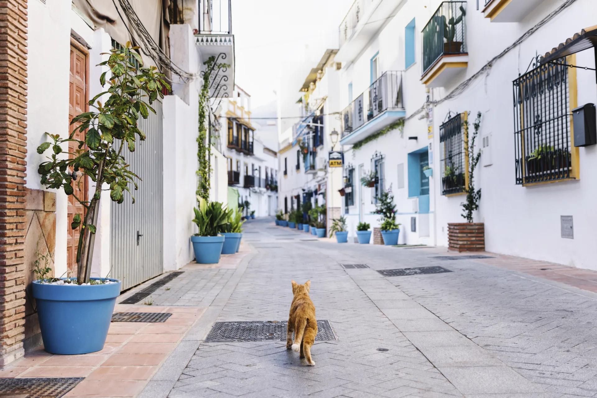 Club Med Magna Marbella