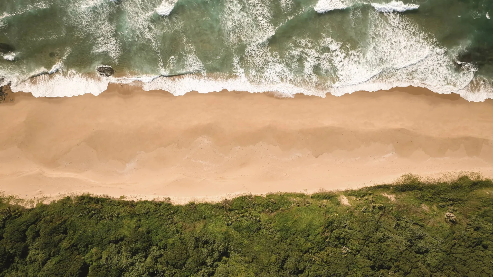 Club Med Beach & Safari