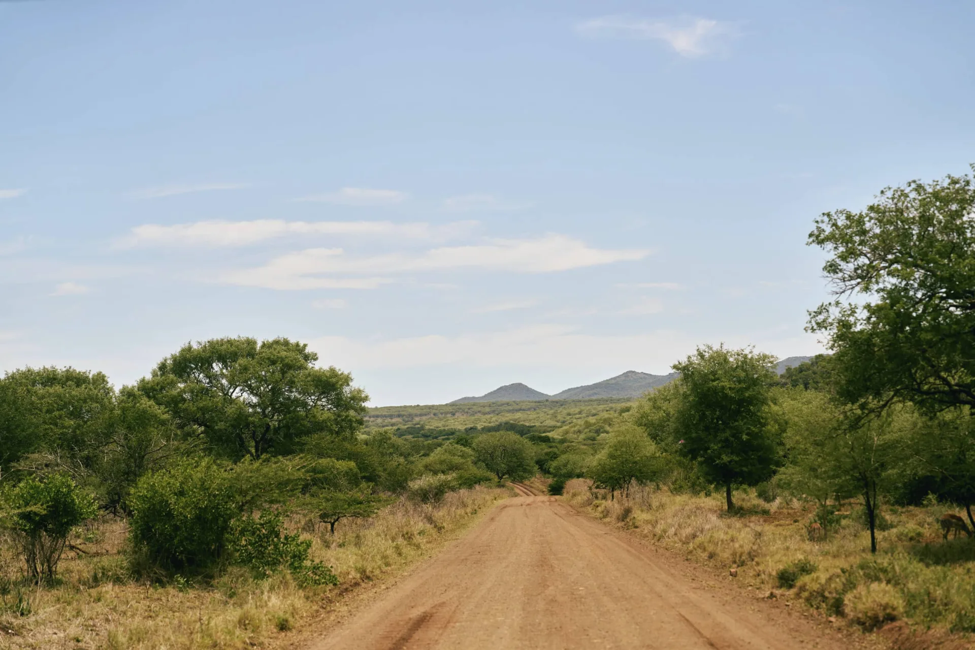 Club Med Beach & Safari