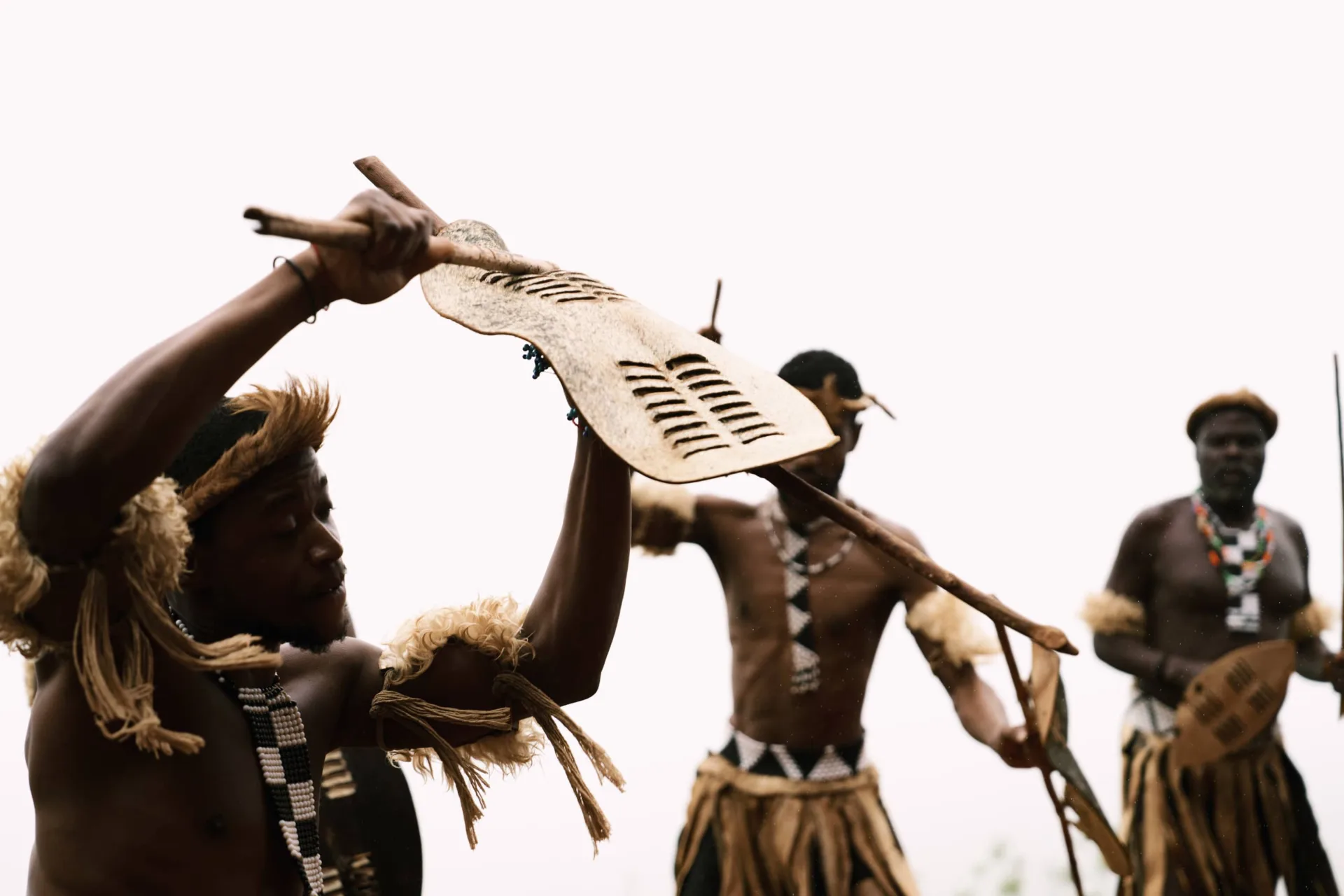 Club Med Beach & Safari